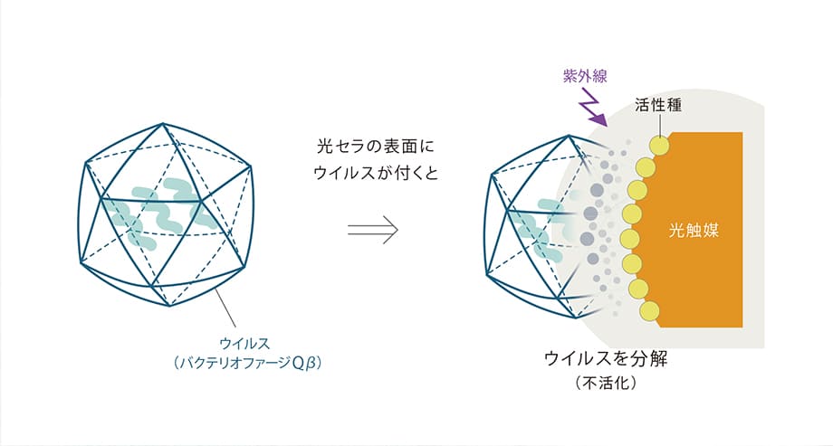 光触媒が外壁表面に付着したウイルスや菌を不活化。